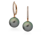 Pearl Jewellery Collection - Strands, Bracelets, Pendants, Necklaces, Rings, Earrings - Melbourne, Victoria and Brisbane, Queensland