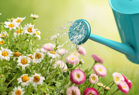 flower_watering_can