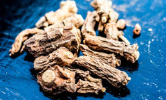 Sarsaparilla root, traditionally used to treat skin conditions and support digestion