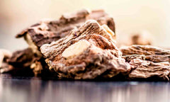 A close-up of a bundle of dried Sarsaparilla roots