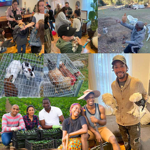Lemuria Farm School: Cultivating Self-Reliance and Creativity Through Organic Natural Farming and Urban Culture