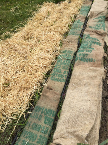 Organic fibre coffee bags and straw placed on garden
