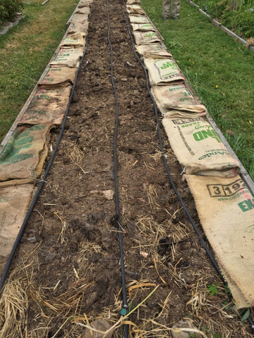 Organic fibre coffee bags placed on garden