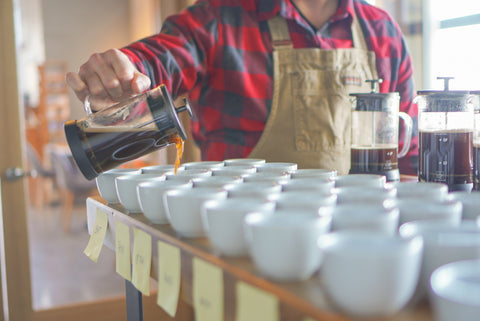 Man pouring brewed coffee from french press into mugs for cupping