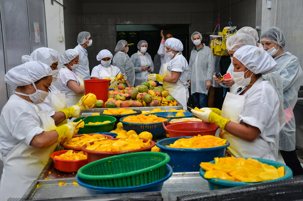 Fruandes employees in white hair nets and aprons, slicing mango