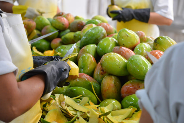 Closeup stacked, washed mangos being peeled, sliced