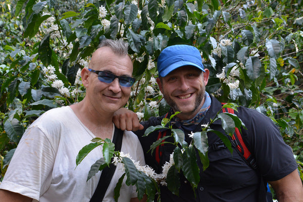 Two men stand beside blossoming coffee tree