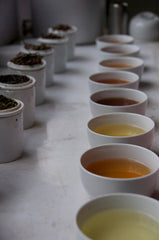 Eight loose leaf teas next to its relating brewed mug of tea