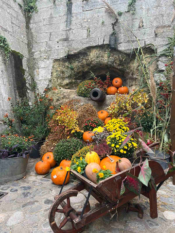 Sant Paul de Vance Autumn Decorations