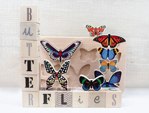 Bajo World of Butterflies - Lyon and Pearle