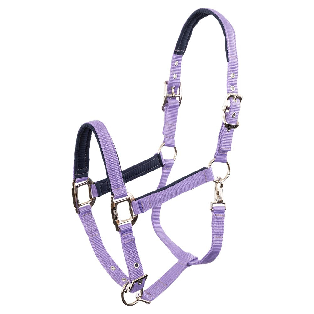 Het beste Landelijk pin Anky Halster - Paisley Purple – DRESSAGE.EU BV