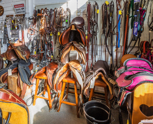 photo of our horse consignment area