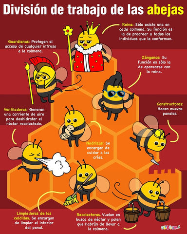 Infografia Alebrigma Oficis de les abelles