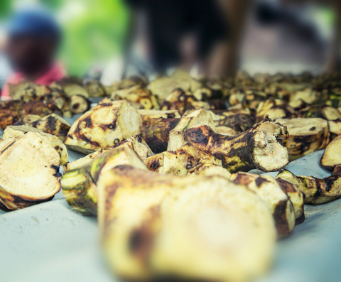 The Two Principal Types of Kava. Kava that is slived and sitting on a slate, ready for processing. 