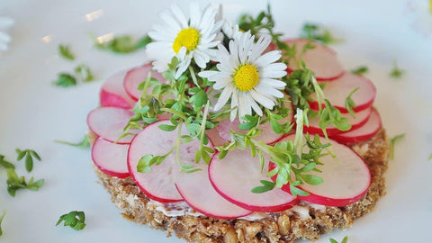 kids snack with radishes cheese 
