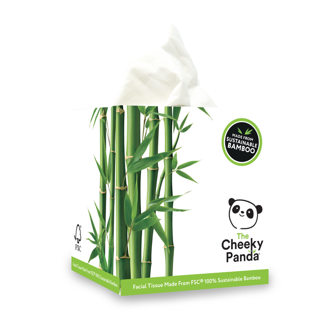 Bamboo Boxes of Tissues (12 Boxes) - The Cheeky Panda product image