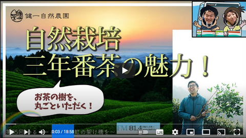 健一自然農園 三年晩茶 お茶 ばん茶 晩茶 番茶 ティーバッグ 高級 無