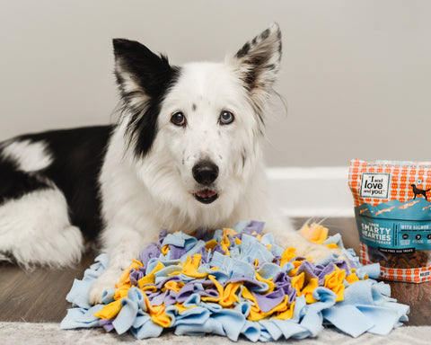 Snuffle Mat