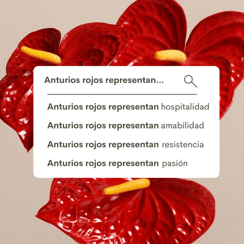 anturios_significado_plantas_panama
