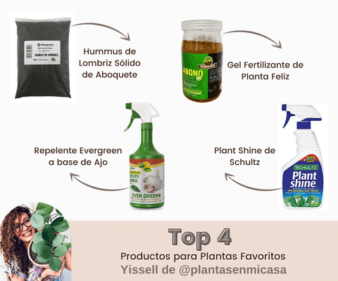 productos_plantas_recomendaciones_yissell_panama