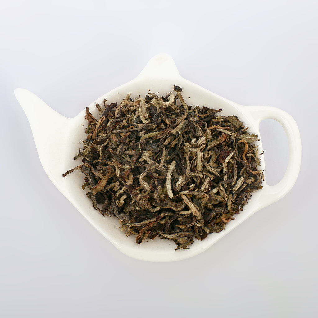 Saintly White Tea – Buy White Tea | White Tea Benefits – Goodwyn Tea