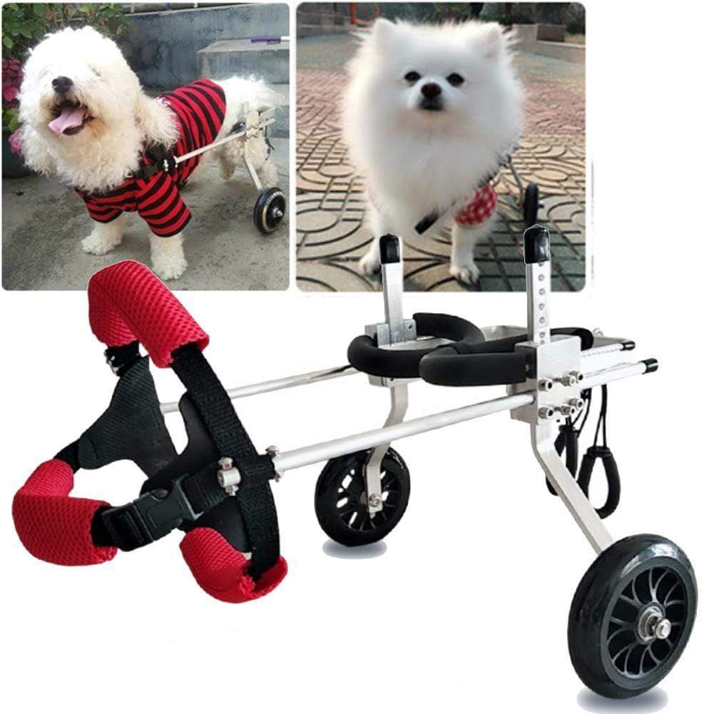 disabled dog products