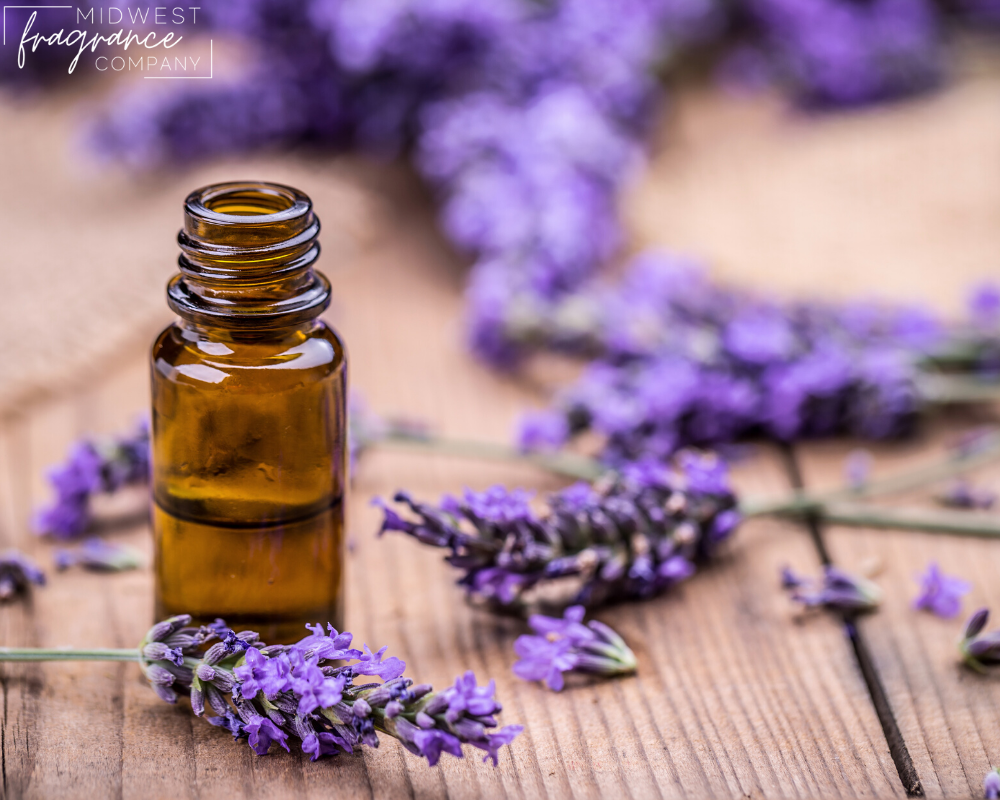 Oak Moss Essential Oil – The Purple EcoVillage