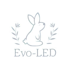 Evo LED Logo