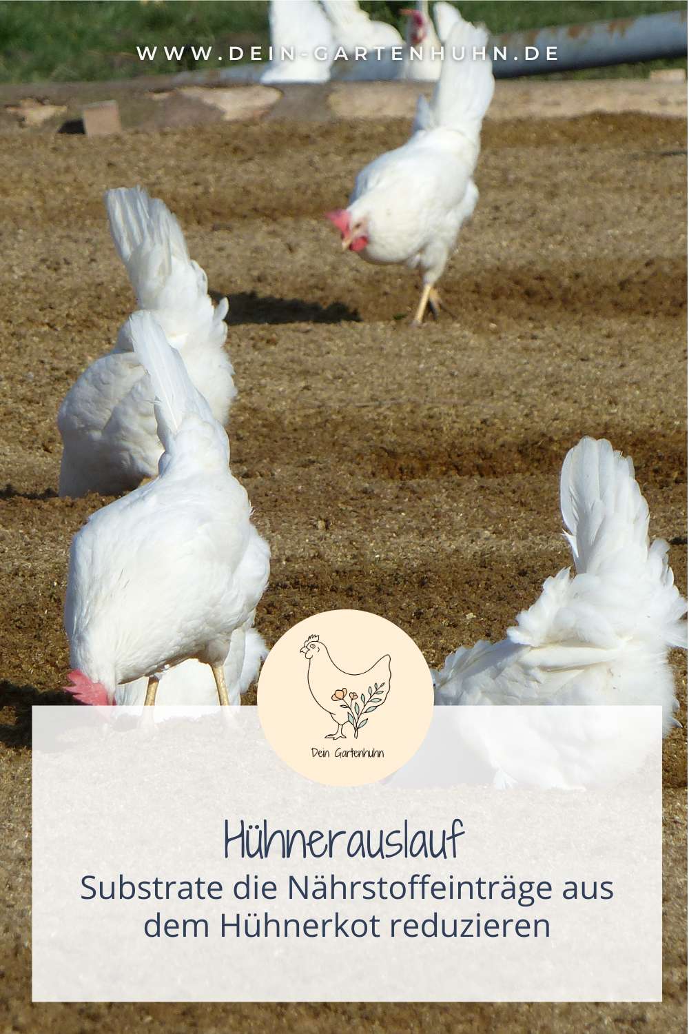 Substrate für den Hühnerauslauf, die Nährstoffeinträge aus dem Hühnerkot reduzieren können.