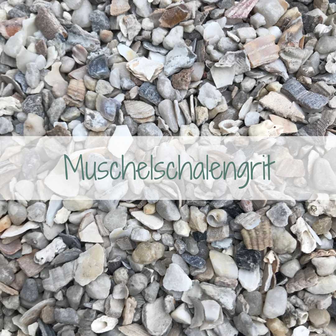 Muschelschalengrit