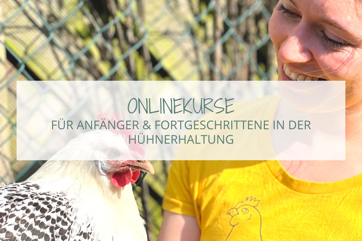 Onlinekurse für Anfänger und Fortgeschrittene in der Hühnerhaltung