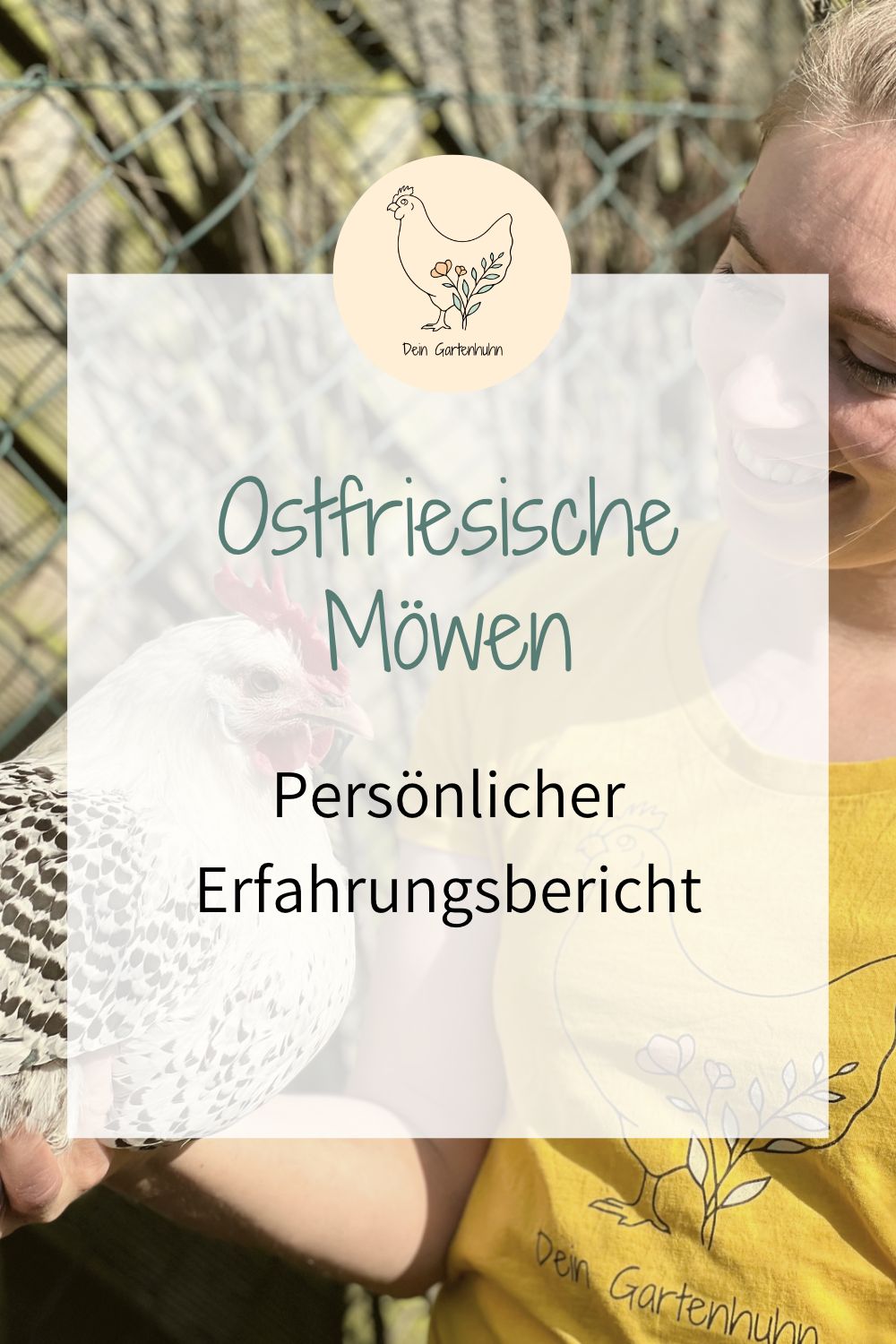 Persönlicher Erfahrungsbericht und Anekdote Ostfriesische Möwe