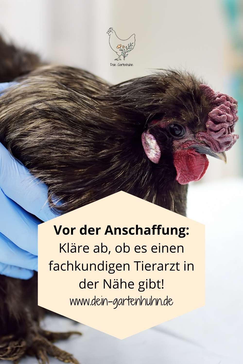 Gibt es einen Tierarzt für Hühner in Deiner Nähe?