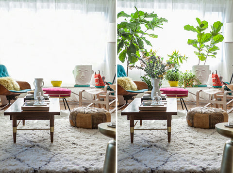 Before and After plants added to home decor 