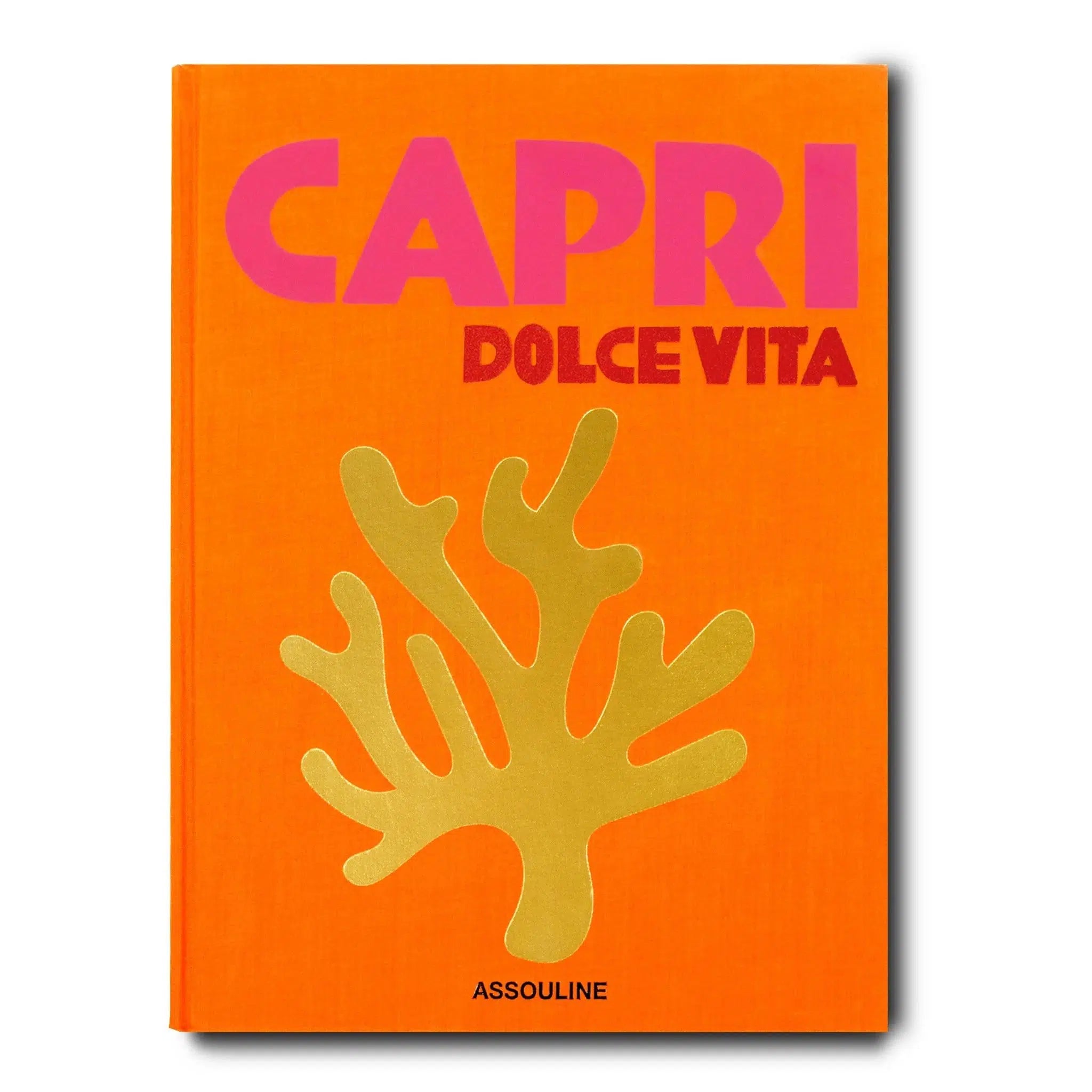 https://cdn.shopify.com/s/files/1/0507/0884/0631/products/Coffee-Table-Books-Capri-Dolce-Vita-Coffee-Table-Book-9781614287834.webp?v=1680601606