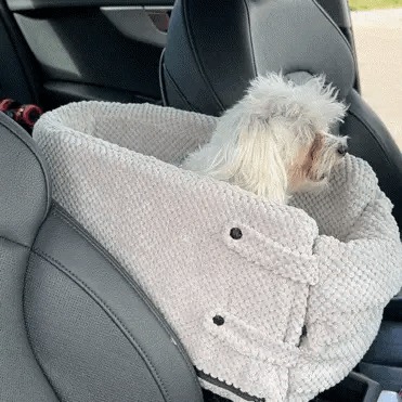 Panier pour chien imperméable pour siège automobile, Tout pour l'animal