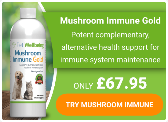 Try Mushroom Immune