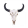 Buffalo Skull Wall Hanging Decoration