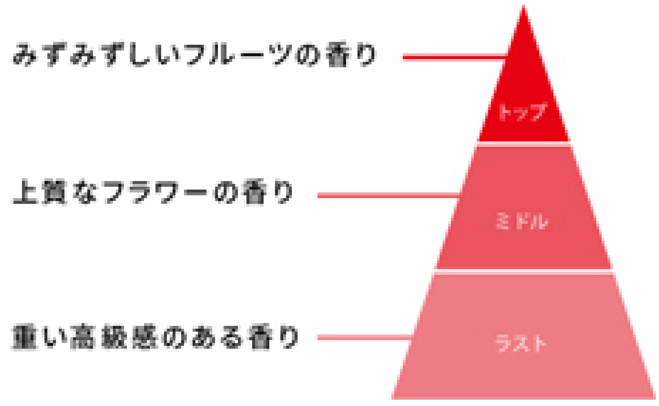 リファビューテック シャンプーはアプリコットやビーチによるみずみずしいフルーツの香りに続き、ブロー後もムスクやアンバーの深い余韻をお楽しみいただけます。