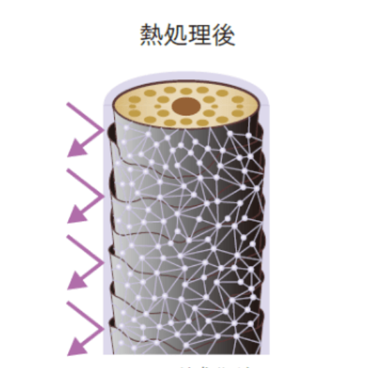 シールド成分がネットワーク化し、高分子膜を形成、外的ストレス物質の付着や毛髪内部への侵入を防ぐ
