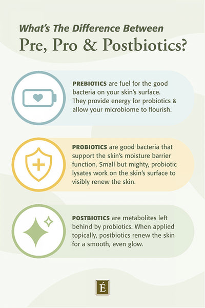 Pre, Pro and Postbiotics in Eminence Organic Skin Care Products