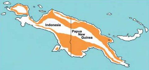 ラージクロコダイル（ニューギニアワニ）の生息地