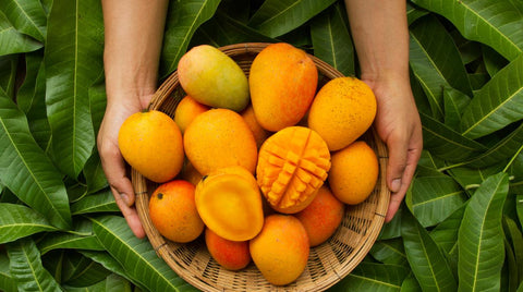 Diferentes tipos de mango