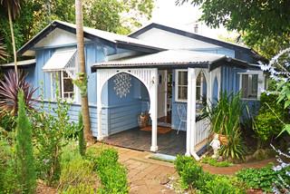 small blue cottage surrounded by trees