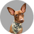 social icon zeus.theminpin