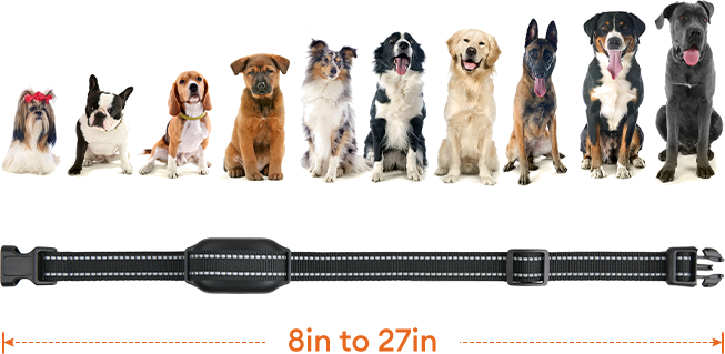 Dokoo training collar for dog’s neck sizes from 8inch to 27inch