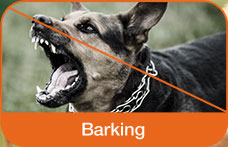 bad Behavior like barking