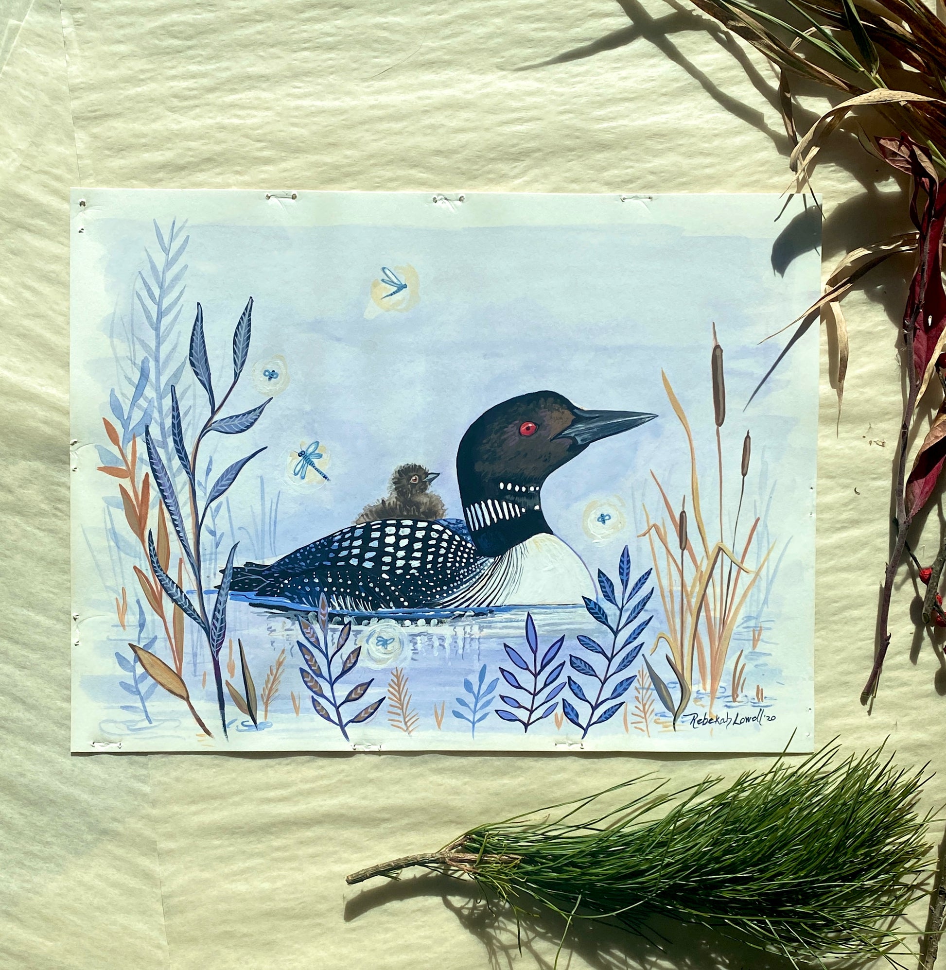 common loon painting