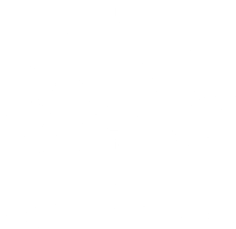 wild witches