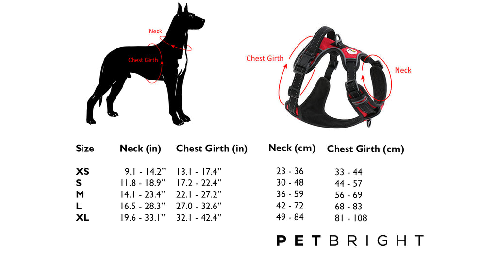 Image of how to measure a dog for a harness